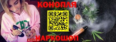 гидропоника Можга