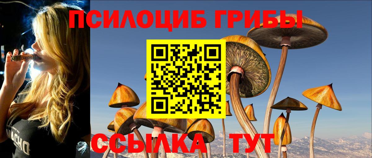Галлюциногенные грибы мицелий Тимашёвск