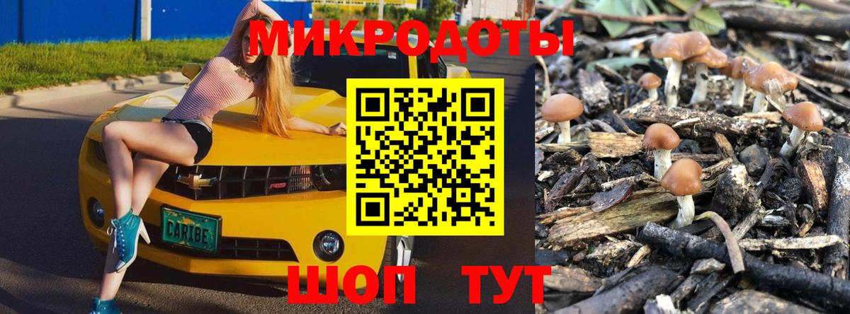 Псилоцибиновые грибы Cubensis  Вход с VPN  как найти закладки  Тимашёвск 